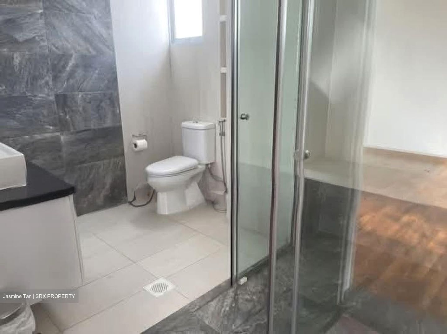 Thomson Grove (D26), Condominium #595722331